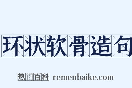 环状软骨造句是什么意思的图片